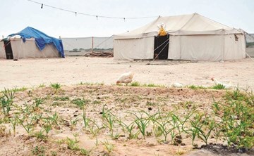 بالفيديو.. المخيمات الربيعية.. «سمر ووناسة» ومطالبات بالسماح بإقامتها في موعدها