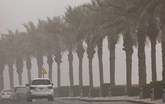 عاصفة ترابية جديدة في الإمارات والسلطات توصي "باستخدام السيارة للضرورة"