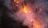 نظام معلومات حرائق الغابات الأوروبي: تدمير أكثر من 660 ألف هكتار منذ يناير الماضي